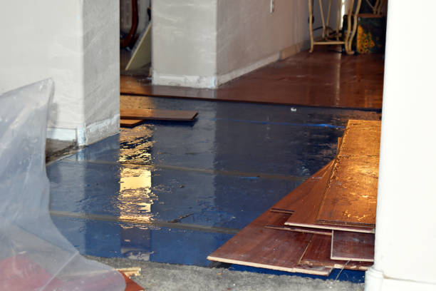 Professional Basement Flood Cleanup technician working in West Greenwich, RI